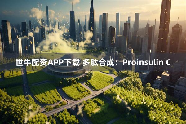 世牛配资APP下载 多肽合成：Proinsulin C