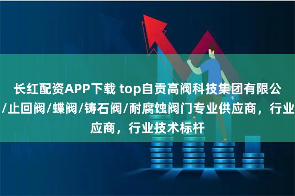 长红配资APP下载 top自贡高阀科技集团有限公司：闸阀/止回阀/蝶阀/铸石阀/耐腐蚀阀门专业供应商，行业技术标杆